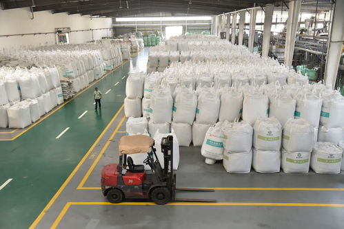 媒体开放日走进华菲回收工厂 探寻高品质再生塑料如何炼成——“垃圾”变身高科技新材料